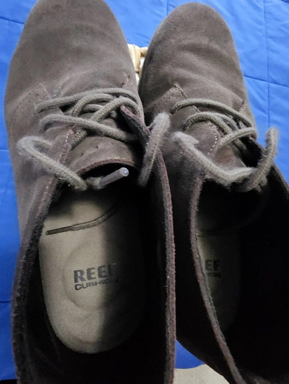 Men's REEF Leucadian Dark Brown Suede Chukka Boots - Lace-Up Casual